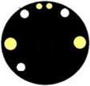 Cordon libre pour Micromoteur NSK Timax40 (EL400)
